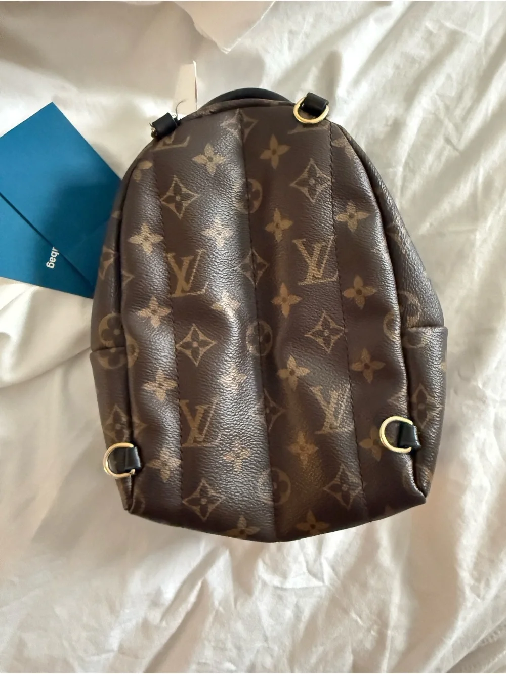 Louis vuitton mini palm springs backpack